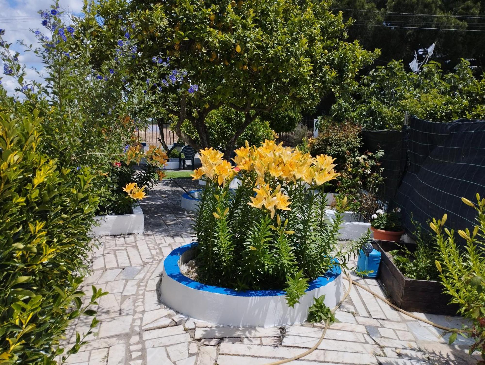 Monte Sol Nascente Βίλα Grândola Εξωτερικό φωτογραφία