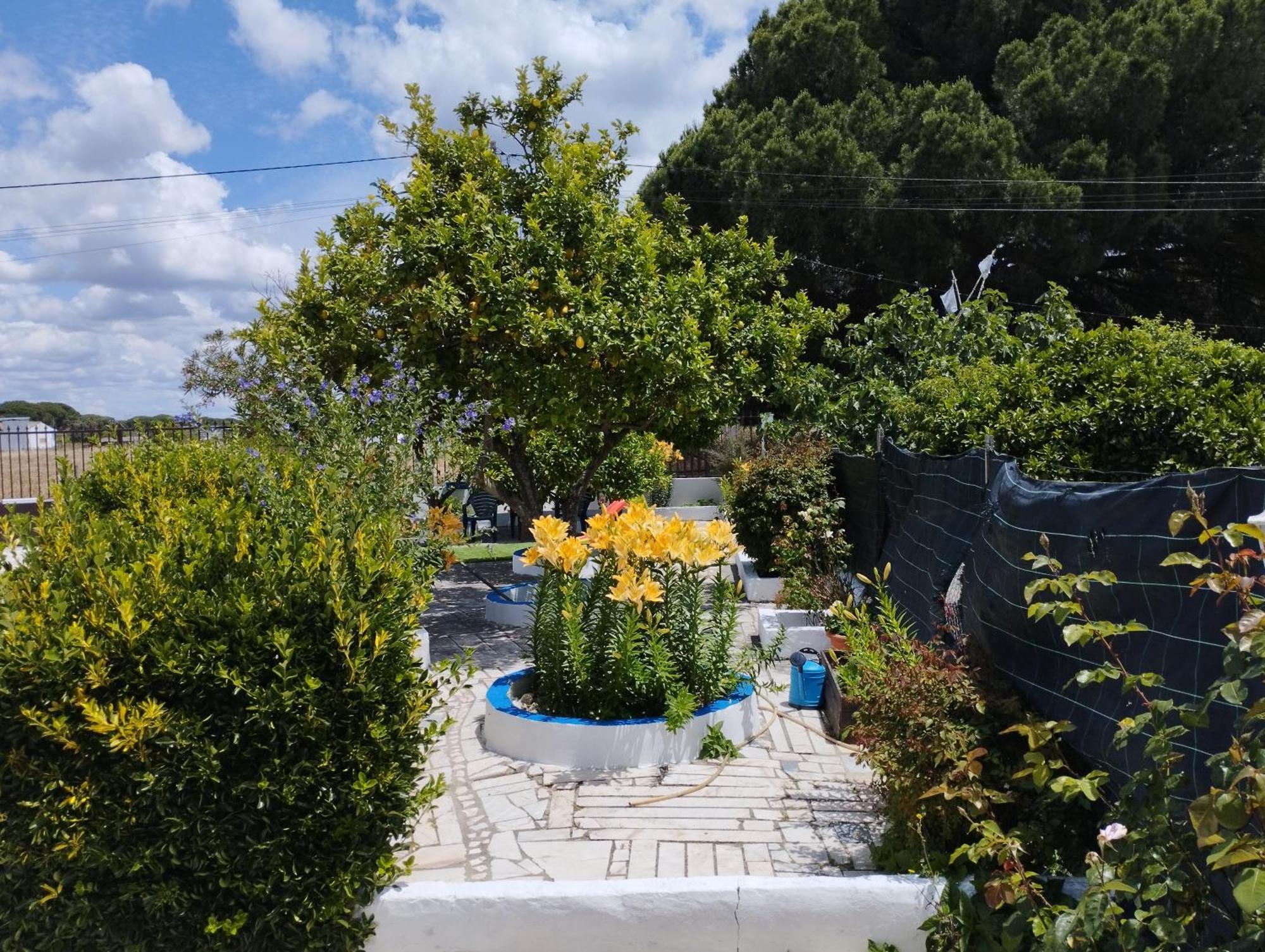 Monte Sol Nascente Βίλα Grândola Εξωτερικό φωτογραφία